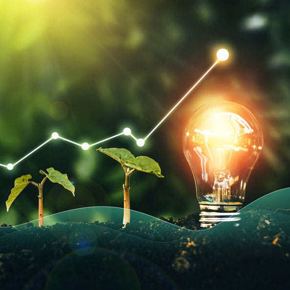 Sustainable growth.